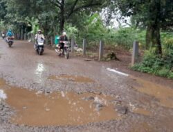 Licin dan Berlubang, Jalan Raya H.Bengkok Rusak Parah