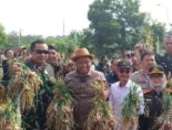 Panen Bawang Merah Urban Farming Kodim 0508 Depok, Ketua PN Depok: Kurangi Angka Pengangguran 