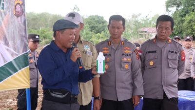 Jagung
