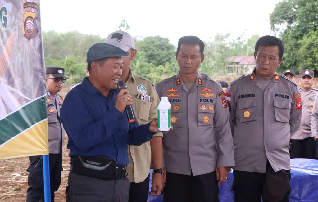 Jagung
