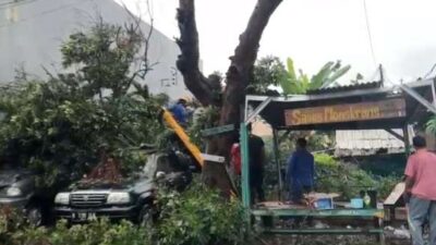 Pohon Tumbang Timpa Mobil di Sukatani