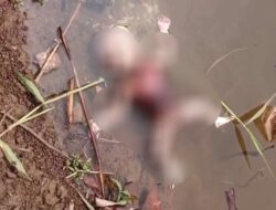 Mayat Bayi Mengambang di Setu 7 Muara