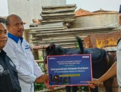 HUT ke-26 Lewat Sedekah Kurban di 26 Titik, PNM: Bentuk Rasa Syukur
