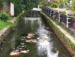 Sampah Plastik di Kali Cabang Timur Balaikota Depok, Pemasangan CCTV Sia-sia
