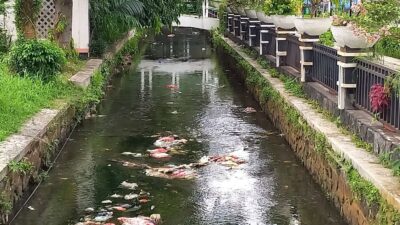 Sampah