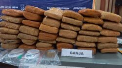 Ganja