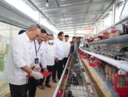 Menko Pangan RI Panen Brokoli hingga Ayam Petelur di Rumah Pangan PNM