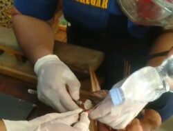 Cincin Ring Burung Merpati Mulai Sempit, Damkar Evakuasi 