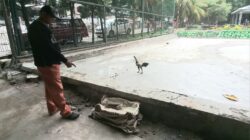 Perbaikan Lapangan Taman Merdeka 2 Tak Layak, Dugaan Korupsi Anggaran Pokir Anggota DPRD Mencuat