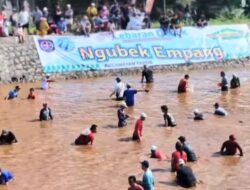 Ngubek Empang di Lebaran Depok, Warga Berebut Ikan 6 Ton