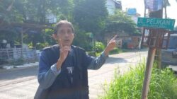 Tanah