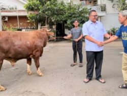 Jelang Idul Adha, Pradi Supriatna Tebar Hewan Kurban