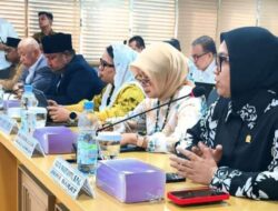 Raker dengan KemenP2MI, Senator Agita Soroti PMI Nonprosedural 